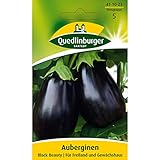 Aubergine, Black Beauty Foto, Bestseller 2024-2023 neu, bester Preis 2,81 € (0,06 € / stück) Rezension