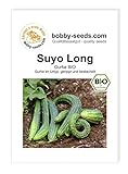 BIO-Gurkensamen Suyo Long Traditionsgurke Portion Foto, Bestseller 2025-2024 neu, bester Preis 2,95 € Rezension