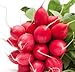 Photo Cherry Belle Radish Seeds, 100 Heirloom Seeds Per Packet, Non GMO Seeds, Botanical Name: Raphanus sativus, Isla's Garden Seeds new bestseller 2024-2023