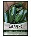 Photo Jalapeno Pepper Seeds for Planting Heirloom Non-GMO Jalapeno Peppers Plant Seeds for Home Garden Vegetables Makes a Great Gift for Gardeners by Gardeners Basics new bestseller 2024-2023