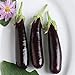 Photo David's Garden Seeds Eggplant Hansel (Purple) 25 Non-GMO, Hybrid Seeds new bestseller 2024-2023