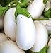 Photo David's Garden Seeds Eggplant White Star (White) 25 Non-GMO, Hybrid Seeds new bestseller 2024-2023