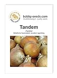 Zwiebelsamen Tandem Portion Foto, Bestseller 2024-2023 neu, bester Preis 1,95 € Rezension