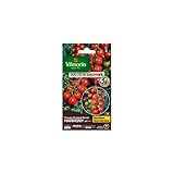 Vilmorin - Sachet graines Tomate Harmony HF1 Photo, best-seller 2025-2024 nouveau, meilleur prix 7,75 € examen