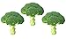 Photo Graines Chou brocolis vert Calabrais - sachet de 400 graines - Brassica/oleracaea/Brassicaceae - Graines de style nouveau best-seller 2024-2023