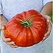 Photo Steakhouse Tomato Seeds (20+ Seeds) | Non GMO | Vegetable Fruit Herb Flower Seeds for Planting | Home Garden Greenhouse Pack new bestseller 2024-2023