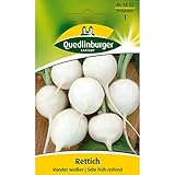 Rettich, Runder weißer Foto, Bestseller 2025-2024 neu, bester Preis 2,29 € (572,50 € / kg) Rezension