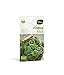 Foto Eurogarden - Semillas Vitalfood para cultivar. Semillas sanas y naturales. (KALE WESTLANDE HERFST VITALFOODS) nuevo éxito de ventas 2024-2023