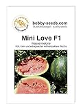 Bobby-Seeds Melonensamen Mini Love F1 Wassermelone Portion Foto, Bestseller 2024-2023 neu, bester Preis 4,59 € Rezension
