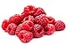 Photo Joan J Thornless Raspberry Bare Root Plants, The Earliest Everbearing Primocane, 5 Pack new bestseller 2024-2023