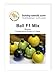 Foto Kürbissamen Ball Mix F1 Zucchini Rondinimischung Portion neu Bestseller 2024-2023