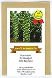 Rosenkohl - Groninger - 100 Samen Foto, Bestseller 2024-2023 neu, bester Preis 1,90 € Rezension