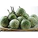 Photo Thai Round Green Eggplant Seeds (40 Seed Pack) new bestseller 2024-2023