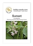 Bohnensamen Sunset Prunkbohnen Portion Foto, Bestseller 2024-2023 neu, bester Preis 2,45 € Rezension