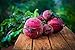 Photo Detroit Dark Red Beet Seeds new bestseller 2024-2023