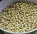 Photo David's Garden Seeds Southern Pea (Cowpea) Texas Cream 8 4435 (Tan) 100 Non-GMO, Open Pollinated Seeds new bestseller 2024-2023