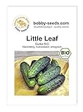 BIO-Gurkensamen Little Leaf Einlegegurke Portion Foto, Bestseller 2025-2024 neu, bester Preis 1,95 € Rezension