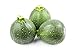 Photo Round Zucchini Summer Squash Seeds, aka: Eight Ball Zucchini, 40 Heirloom Seeds Per Packet, Non GMO Seeds, Botanical Name: Cucurbirta pepo, Isla's Garden Seeds new bestseller 2024-2023