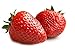 Photo MOCCUROD 150pcs Giant Strawberry Seeds Evergreening Plant Fruit Seeds Sweet and Delicious new bestseller 2024-2023