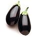 Photo David's Garden Seeds Eggplant Night Shadow (Purple) 25 Non-GMO, Hybrid Seeds new bestseller 2024-2023