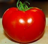 Celebrity Tomato 45 Seeds -Disease Resistant! Photo, bestseller 2024-2023 new, best price $2.99 review