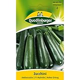 Zucchini, Ambassador F1 Foto, Bestseller 2024-2023 neu, bester Preis 3,60 € (0,72 € / stück) Rezension