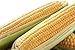 Photo Golden Jubilee Yellow Sweet Corn Seeds, 30+ Seeds Per Packet, (Isla's Garden Seeds), Non GMO & Heirloom Seeds, Botanical Name: Corn Zea mays new bestseller 2024-2023