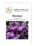 Kohlsamen Blankyt Kohlrabi Portion Foto, Bestseller 2024-2023 neu, bester Preis 1,75 € Rezension