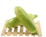 120 Stück Zucchini Saat Einjähriges Weinkraut anpassungsfähiges nicht gentechnisch verändertes grünes Gemüse das das ganze Jahr über angebaut wird Foto, Bestseller 2024-2023 neu, bester Preis 5,49 € Rezension