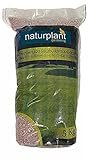 NATURPLANT Abono Especial Césped, Rojo, 5 Kg Foto, éxito de ventas 2025-2024 nuevo, mejor precio 16,95 € revisión