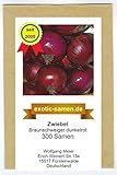 Zwiebel - Braunschweiger, dunkelrot (300 Samen) Foto, Bestseller 2024-2023 neu, bester Preis 1,80 € Rezension