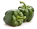 Photo California Wonder 300 TMR Bell Pepper Seeds, 100+ Heirloom Seeds Per Packet, Non GMO Seeds, Botanical Name: Capsicum annuum, Isla's Garden Seeds new bestseller 2024-2023