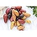 Photo Simply Seed - 10 Piece - Fingerling Potato Seed Mix - Non GMO - Naturally Grown - Order Now for Spring Planting new bestseller 2024-2023