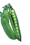 Burpee Easy Peasy Pea Seeds 200 seeds Photo, bestseller 2024-2023 new, best price $7.13 ($0.04 / Count) review