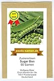 Zuckererbse - Sugar Bon - 50 Samen Foto, Bestseller 2024-2023 neu, bester Preis 1,80 € Rezension