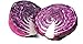 Photo 600 Red Acre Cabbage Seeds | Non-GMO | Fresh Garden Seeds new bestseller 2024-2023