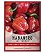 Photo Red Habanero Pepper Seeds for Planting 100+ Heirloom Non-GMO Habanero Peppers Plant Seeds for Home Garden Vegetables Makes a Great Gift for Gardeners by Gardeners Basics new bestseller 2025-2024