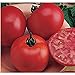 Photo Burpee Big Boy Tomato Seeds (20+ Seeds) | Non GMO | Vegetable Fruit Herb Flower Seeds for Planting | Home Garden Greenhouse Pack new bestseller 2024-2023