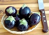 Aubergine Ronde de Valence - Eierfrucht - 50 Samen Foto, Bestseller 2024-2023 neu, bester Preis 1,60 € Rezension