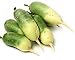 Photo David's Garden Seeds Radish Green Luobo Improved 5453 (Green) 200 Non-GMO, Open Pollinated Seeds new bestseller 2024-2023