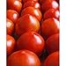 Photo Early Girl Tomato - One of The Earliest Tomatoes!!!!!!!!!(25 - Seeds) new bestseller 2024-2023