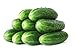 Photo 50 Straight Eight Cucumber Seeds - Heirloom Non-GMO USA Grown Vegetable Seeds for Planting - Pickling and Slicing Cucumber new bestseller 2024-2023