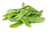 Oregon Giant Snow Pea Seeds Photo, bestseller 2024-2023 new, best price $5.49 review