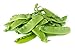 Photo Oregon Giant Snow Pea Seeds new bestseller 2024-2023