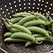 Photo David's Garden Seeds Pea Snap Sugar 3155 (Green) 100 Non-GMO, Heirloom Seeds new bestseller 2024-2023