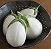 Photo David's Garden Seeds Eggplant Paloma (White) 25 Non-GMO, Hybrid Seeds new bestseller 2024-2023