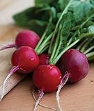 Burpee Cherry Belle Radish Seeds 1000 seeds Photo, bestseller 2024-2023 new, best price $7.22 ($0.01 / Count) review