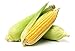 Photo Golden X Bantom Corn Seeds, 50 Heirloom Seeds Per Packet, Non GMO Seeds, Botanical Name: Zea mays, Isla's Garden Seeds new bestseller 2024-2023