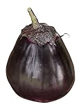 Burpee Meatball Eggplant Seeds 35 seeds Photo, bestseller 2024-2023 new, best price $9.61 review