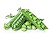 Photo Green Arrow Pea Seeds new bestseller 2024-2023